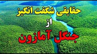 دانستنی های عجیب جنگل آمازون:حقایق شگفت انگیز جنگل آمازون|آدم خوارهای جنگل آمازون