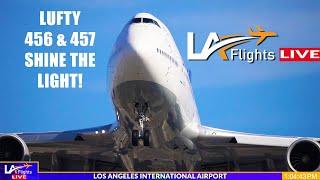 LAX LIVE:  LAX Plane Spotting | LOS ANGELES INTERNATIONAL AIRPORT | November 19, 2024