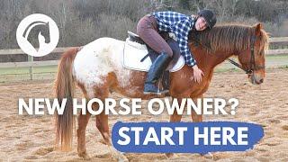 TIPS FOR NEW HORSE OWNERS: Essential Beginners Guide