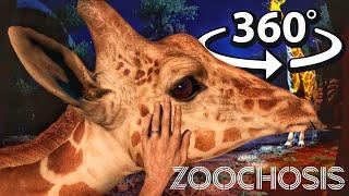 360° The BEST VR Petting Experience EVER with ZOOCHOSIS Animals!