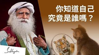 你知道自己究竟是誰嗎？| Sadhguru (薩古魯)