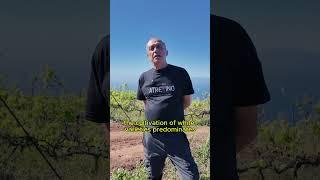 Atrevino Wineries