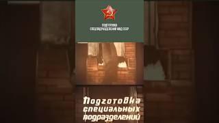 СпецПодготовка по Рукопашному Бою Спецподразделений МВД СССР . Вадим Старов Боевое САМБО СПЕЦНАЗА