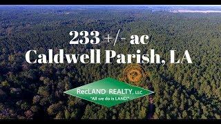 233 +/- ac Caldwell Parish LA Timber Land for Sale