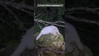#мотивация 