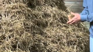 Is this art? Performance artist spends 2 days looking for needle in a haystack