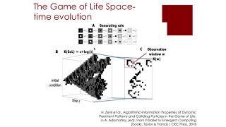 6.7 Algorithmic Information Dynamics