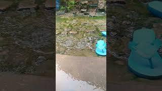 #rain#sartaj vlogs