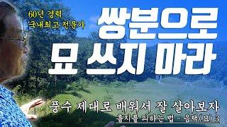 E73. 이렇게 묘 쓰셨죠? / 집안이 하루 아침에 망할 수 있는 이유