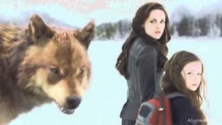 Breaking Dawn Part 2 - Night Of The Hunter