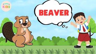 Beaver Facts For Kids  Learn All About Beavers | MON Kids