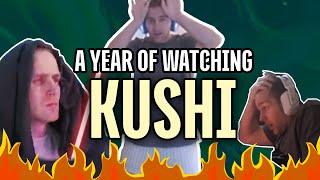 An average year of watching Kushi