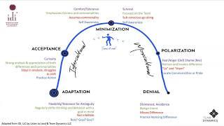 Mindsets of the Intercultural Development Inventory (IDC)