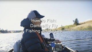 How to Fish: Damselfly Fly Fishing Strategies | GoFishBC