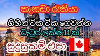 කැනඩාවේ ගිහින් ටික ටික ගෙවන්න. මාසික වැටුප් ලක්ෂ 11 ක් printing helper foreign jobs in canada free