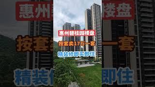 惠州碧桂园楼盘#深圳 #这座城市 #碧桂园 #惠州房产