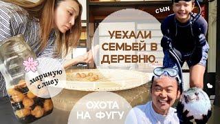 КАК МЫ ЖИВЕМ В ЯПОНСКОЙ В ДЕРЕВНЕ? (охота и заготовки)