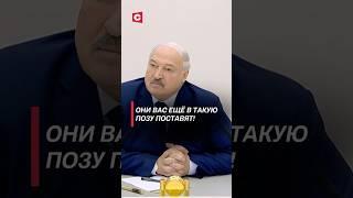 Лукашенко: Они вас ещё в такую позу поставят! #беларусь #лукашенко #выборы #политика #новости