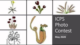 ICPS 2020 Photo Contest