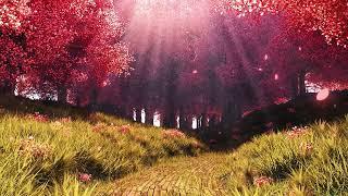 Music for Inner Piece and Harmony in 432Hz •  Relaxing Music, Meditation Music, Sleeping Music