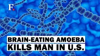 Florida Man Dies After Being Infected With Brain-Eating Amoeba