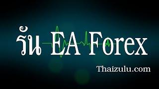 วิธีการรัน EA Forex  / รีวิวการใช้โบรคเงินจริง