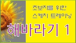 꽃 그리기 - 해바라기(sunflower) 스케치 기초1 형태의이해