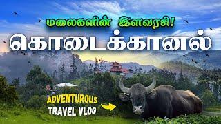 எழில்மிகு இயற்கை சொர்கம்!  | Top Places to Visit in Kodaikanal | Poombarai Travel Vlog 2024