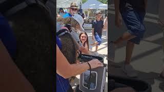 Florida: Goats walk in St. Pete - St. Pete's Adorable and Unconventional Street Pets!