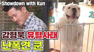 [ENG SUB] 통제불가 난폭견 '쿤'을 제압하는 강형욱 #유혈사태 [개는 훌륭하다] showdown with 'kun' [Dogs are incredible]