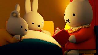 Dan And Miffy Have A Sleepover! | Miffy | Sweet Little Bunny | Cartoons For Kids