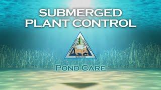 Pond Care 111: Submerged Plant Control