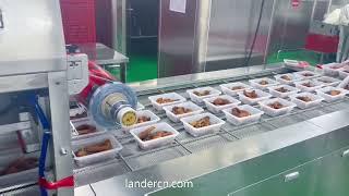 Inline type MAP modified atmosphere packaging machine for fresh meat, vegetable, fruits, ready meals