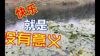 没有意义的一天，但快乐啊