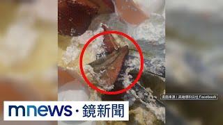 草莓變「草霉」！　高雄知名麵包店草莓蛋糕竟長霉｜#鏡新聞