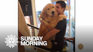 Viral pet videos that melt hearts