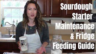 Sourdough Starter Maintenance - Sourdough Starter Fridge Storage