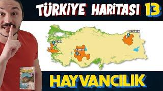 TÜRKİYE'DE  HAYVANCILIK - Türkiye Harita Bilgisi Çalışması  (KPSS-AYT-TYT)