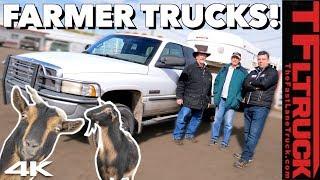 What Trucks Do Real Farmers Drive? Haulin’ & Selling Mr. Truck's Goats