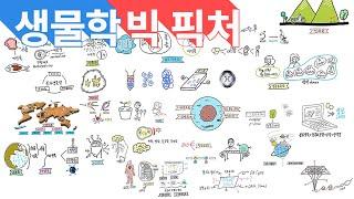 생물학 빅 피처 (Biology Map)