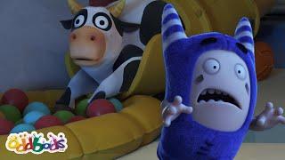 Cows Just Wanna Have Fun  | Oddbods Cartoons | Funny Cartoons For Kids