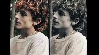 Timothee Chalamet Edits