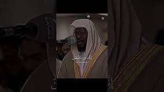 سورة النمل 