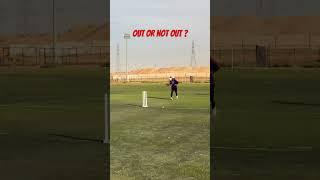 Out or Not Out ? #cricket #villagecricket #cricketfan #cricketlover #cricketshorts #ipl #india