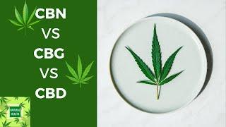 What is CBN vs CBG vs CBD | What is the difference between CBN CBG CBD | Natural Health Products