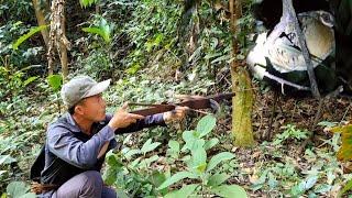 Hunting  wild men hunt animals for food part 51