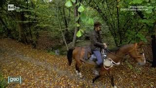 Natura e Avventura - Da Geo Il fiume nel Bosco di Valter Torri