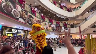 文扬龙狮运动协会 Wenyang Sports Association  Lion Dance High Pole & Cai Qing at Hougang Mall on 13 Feb 2024