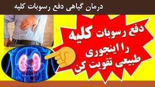 Herbs for kidney health درمان گیاهی دفع رسوبات کلیه را اینجوری طبیعی تقویت کن ‎‌