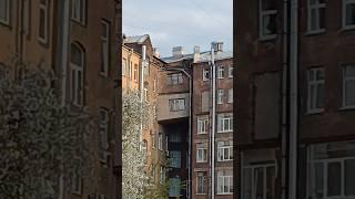Гениальная архитектура есть в Московском районе Петербурга #архитектора #питервкармане